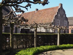 Dakmoerbei=LA-Oirschot