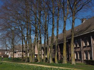 Beukenhaag-LA-Oirschot