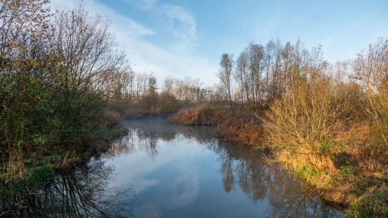 Rustig rivierlandschap met kale bomen, struiken en weerspiegeling in het water onder een heldere lucht.
