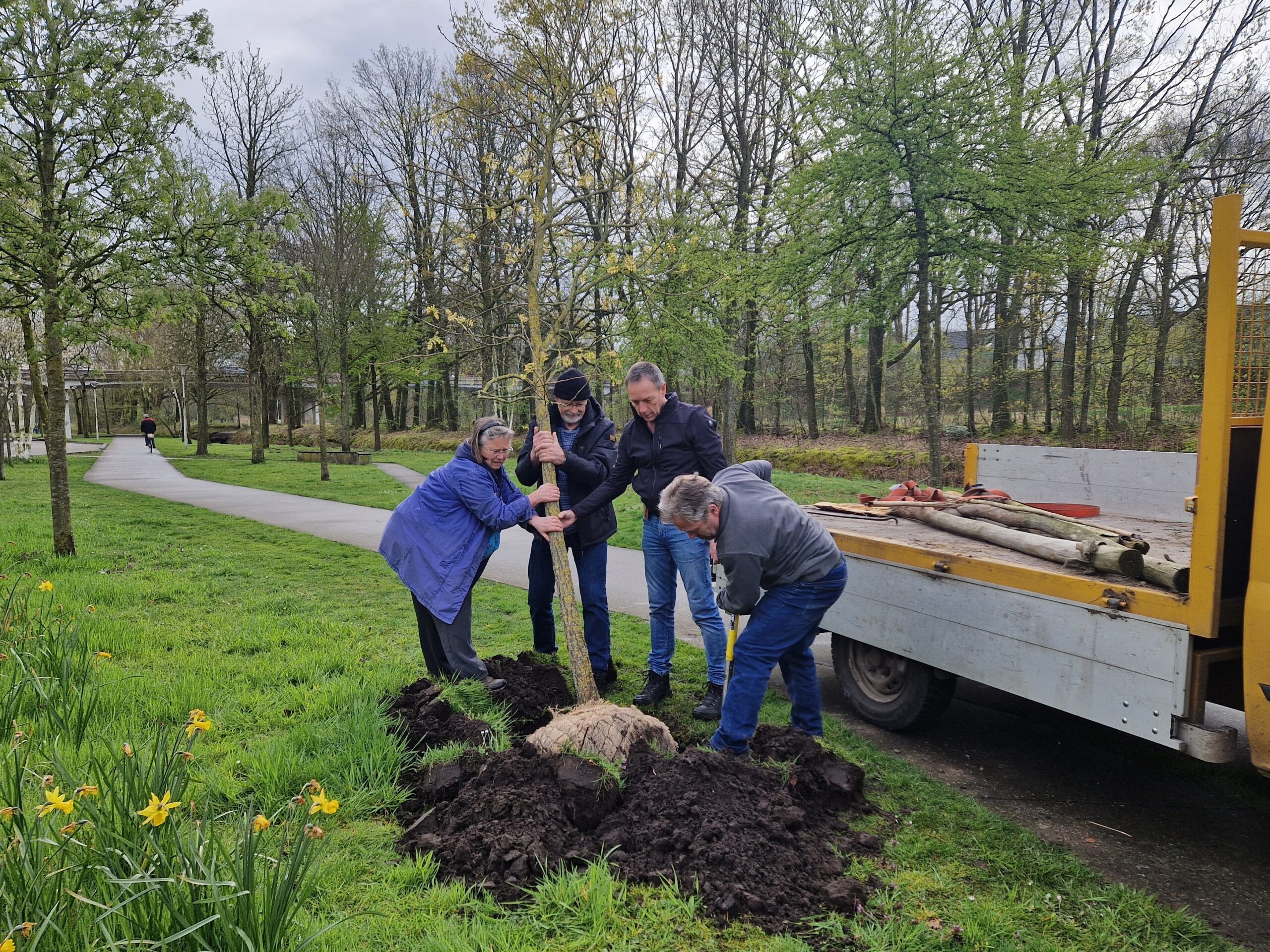 Mensen planten samen een boom naast een bestelwagen in een park met groene grasvelden en bomen.