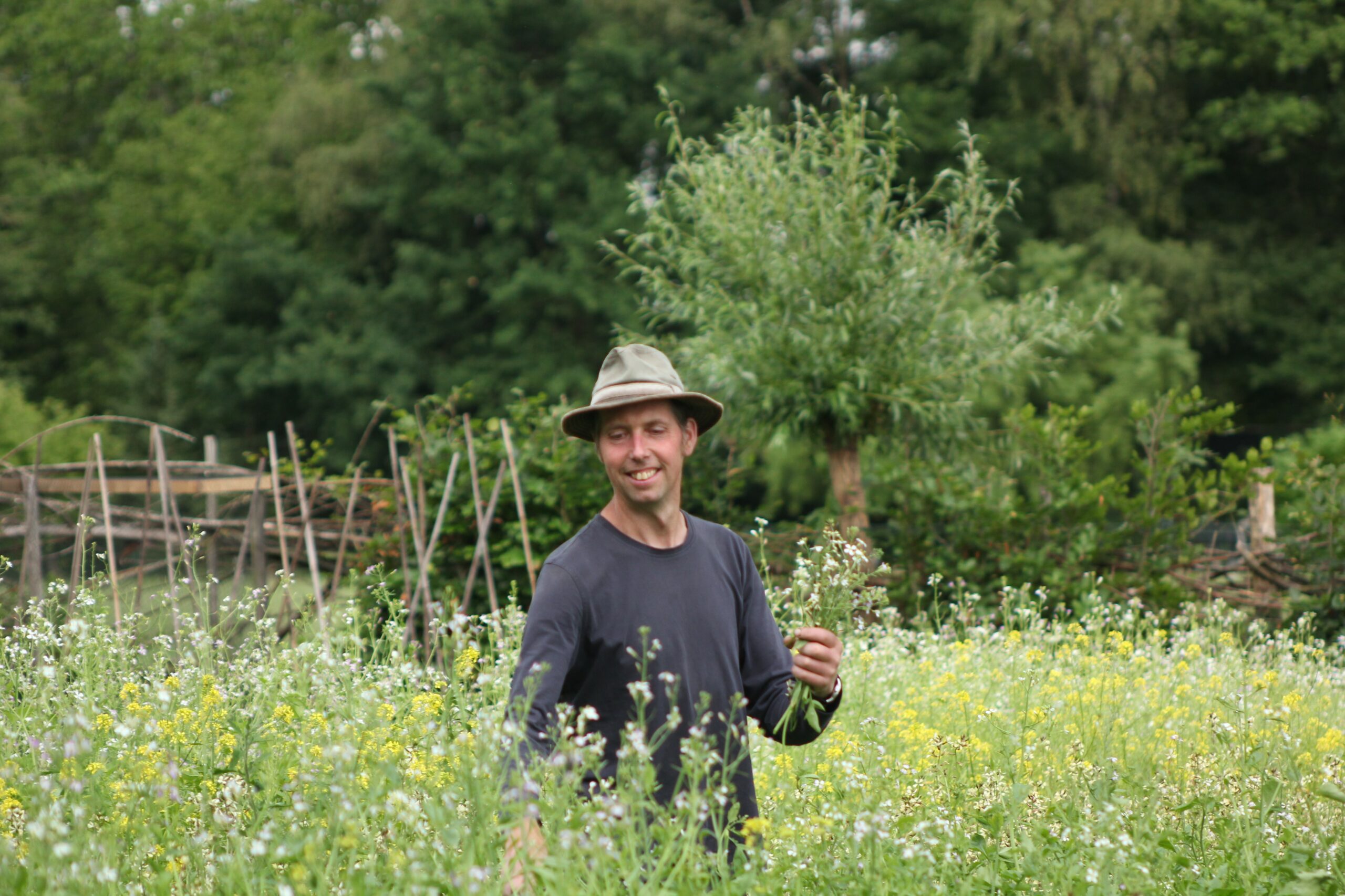 Man in een tuin met bloemen en hoge planten, omringd door weelderige, groene bomen.