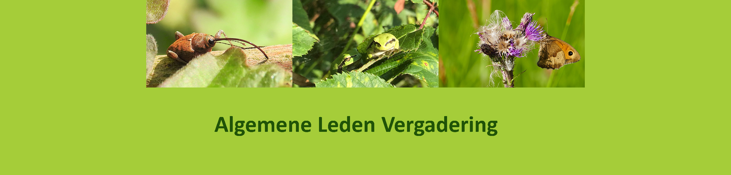 Insecten en planten boven tekst "Algemene Leden Vergadering" op een groene achtergrond.