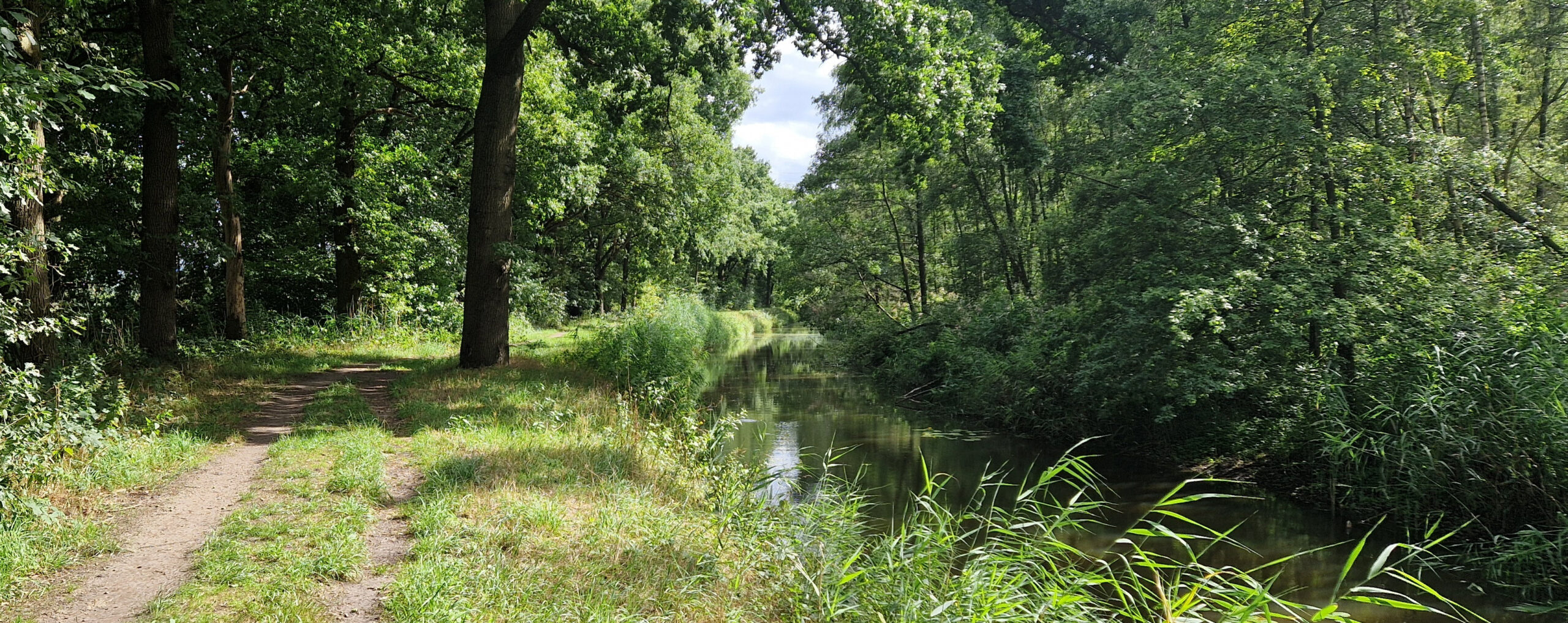 Bos met een smal pad langs een rustig kanaal, omgeven door dichte groene bomen en gras.