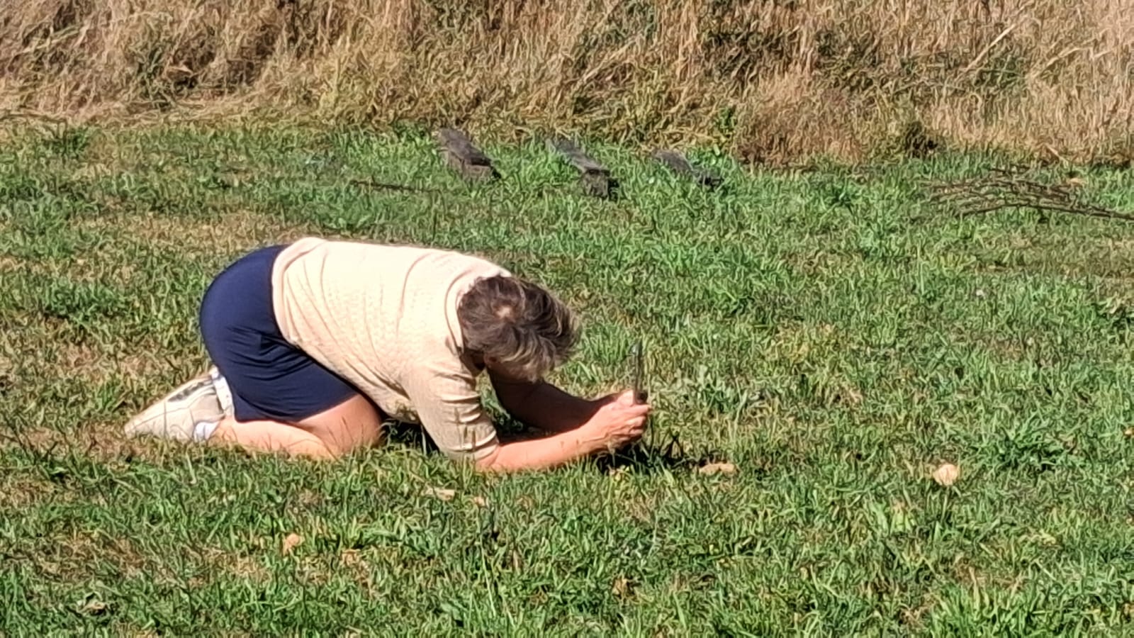 Persoon ligt in gras aan de rand van een veld, omringd door groen en natuur.