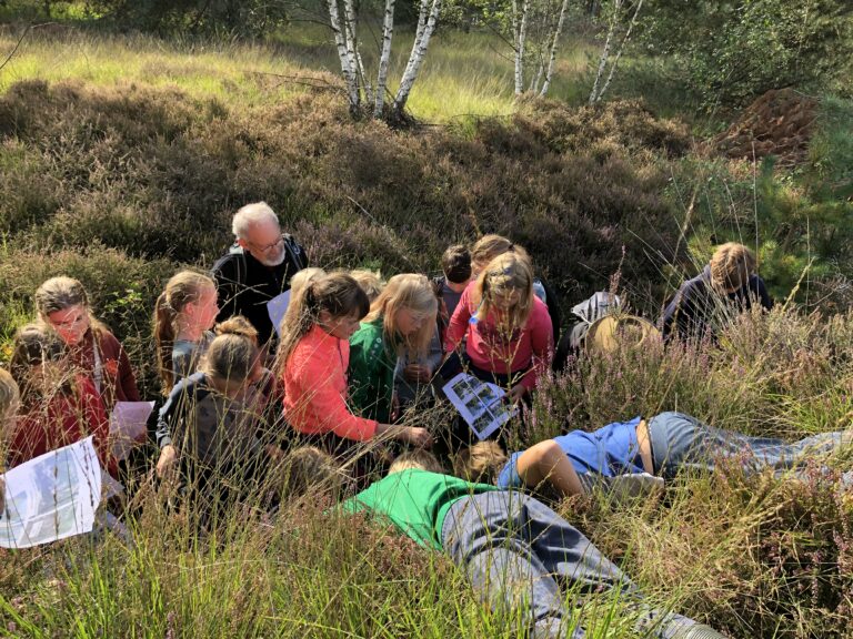 Groep mensen bestudeert planten in een heideveld, met gras en bomen op de achtergrond.