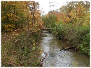 Een beek stroomt door een herfstig bos met kleurrijke bladeren. Er is een houten bruggetje.