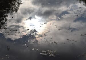Reflectie van een bewolkte hemel met zonlicht op water, omgeven door drijvende bladeren.