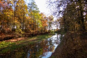 Herfstbos met kleurrijke bomen weerspiegeld in een smalle waterstroom onder een heldere lucht.