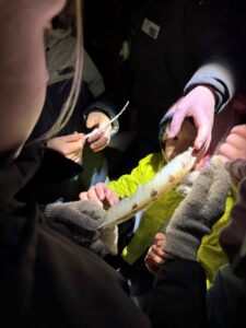 Mensen inspecteren een grote, lichte veer in een donkere omgeving. Verschillende handen zijn zichtbaar.