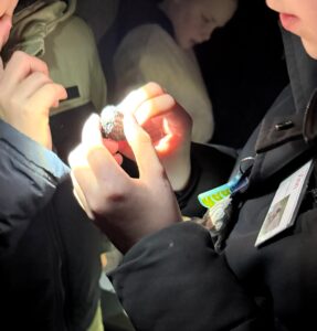 Twee mensen bekijken een klein voorwerp met een zaklamp in het donker.