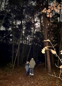 Twee mensen lopen 's nachts door een donkere herfstbos, met bladeren en weinig licht.