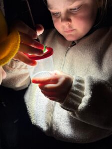 Kind onderzoekt iets in een pot met een zaklamp, donkere omgeving.