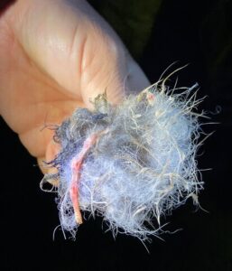 Hand houdt een kluwen pluizige draad met een losse, roze draad vast.