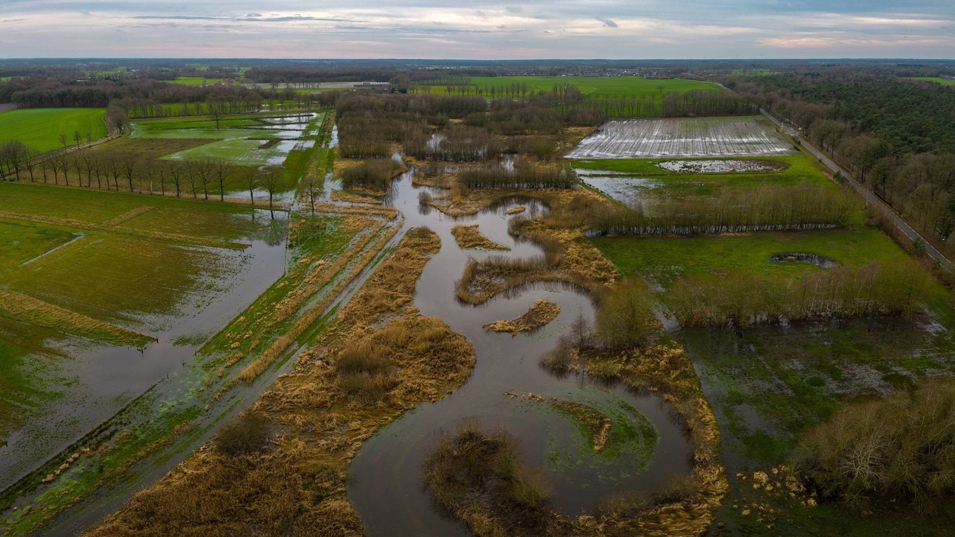 Kronkelende rivier door nat weiland, omringd door bomen en velden onder bewolkte lucht.