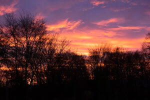 Silhouet van bomen bij kleurrijke zonsondergang met paarse en oranje luchten.