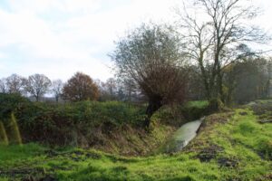 Sloot met groene oevers, boom en struiken in een landelijke omgeving; rustige, bewolkte hemel.