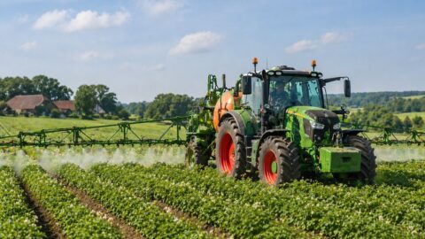 Tractor sproeit gewasbeschermingsmiddelen op een veld aardappelen onder een blauwe hemel.