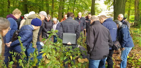 Een groep mensen bestudeert de grond in een bosrijke omgeving.