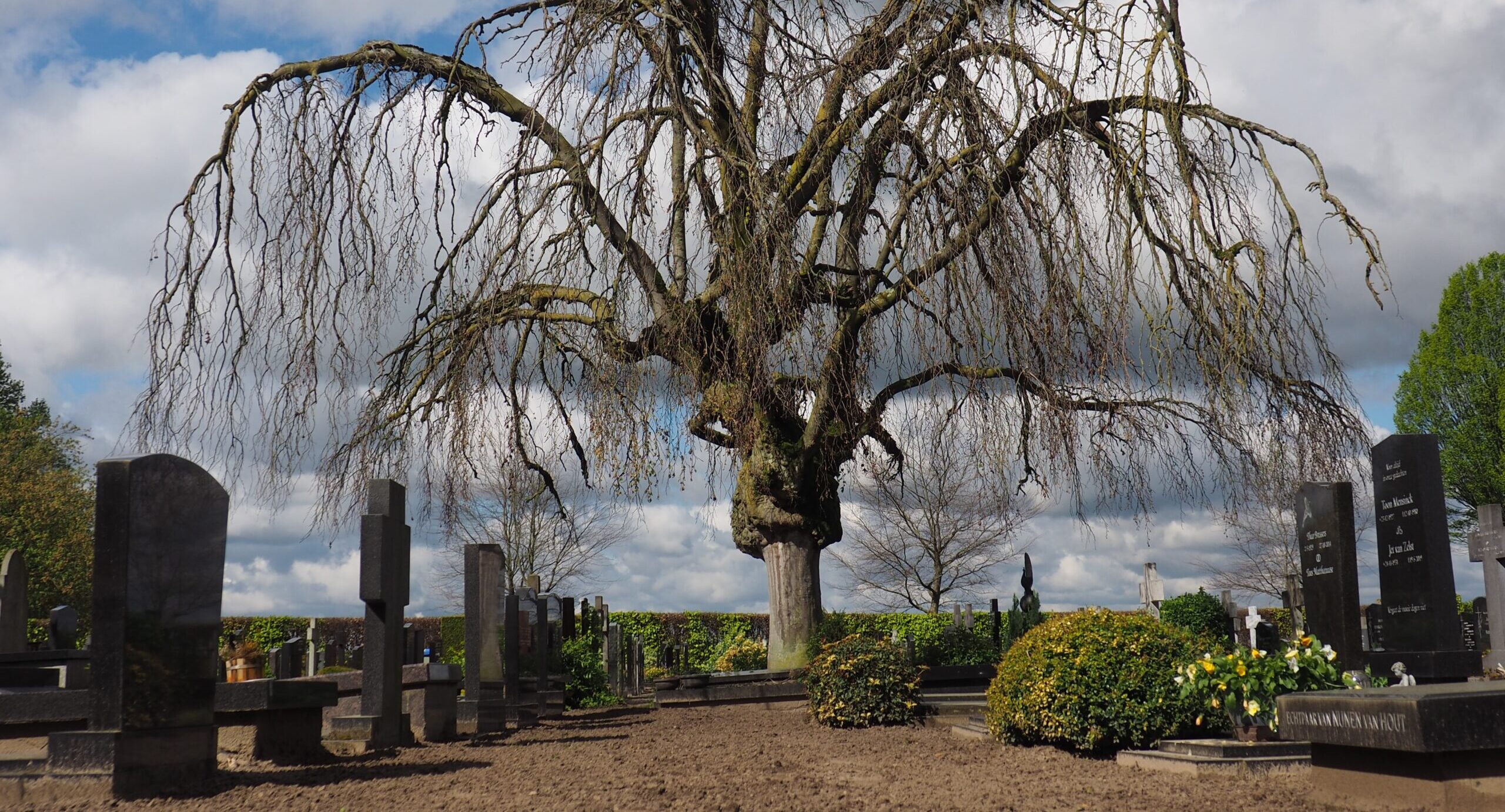 Treurbeuk-LA-Oirschot2