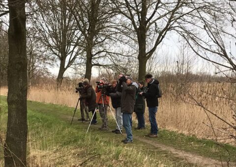 Een groep mensen fotografeert de natuur met camera's op statieven langs een bosrijk pad.