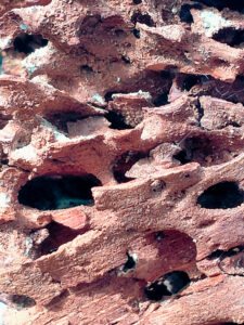 Close-up van rottend hout met gaten en textuur.