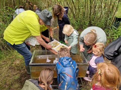 Kinderen en volwassenen onderzoeken waterdieren bij een glasbak in een bosomgeving.