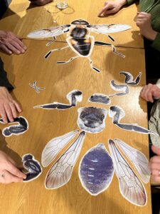 Mensen monteren een grote, gescheiden afbeelding van een bij op een houten tafel.