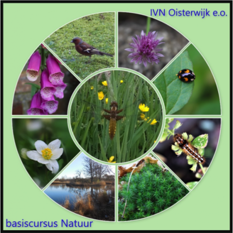 basiscursusnatuur 01