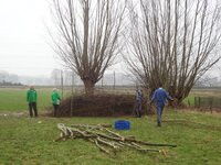 Natuurwerkgroep-6