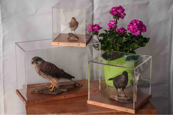 Promotiestand-02