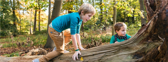 Scholen in de natuur