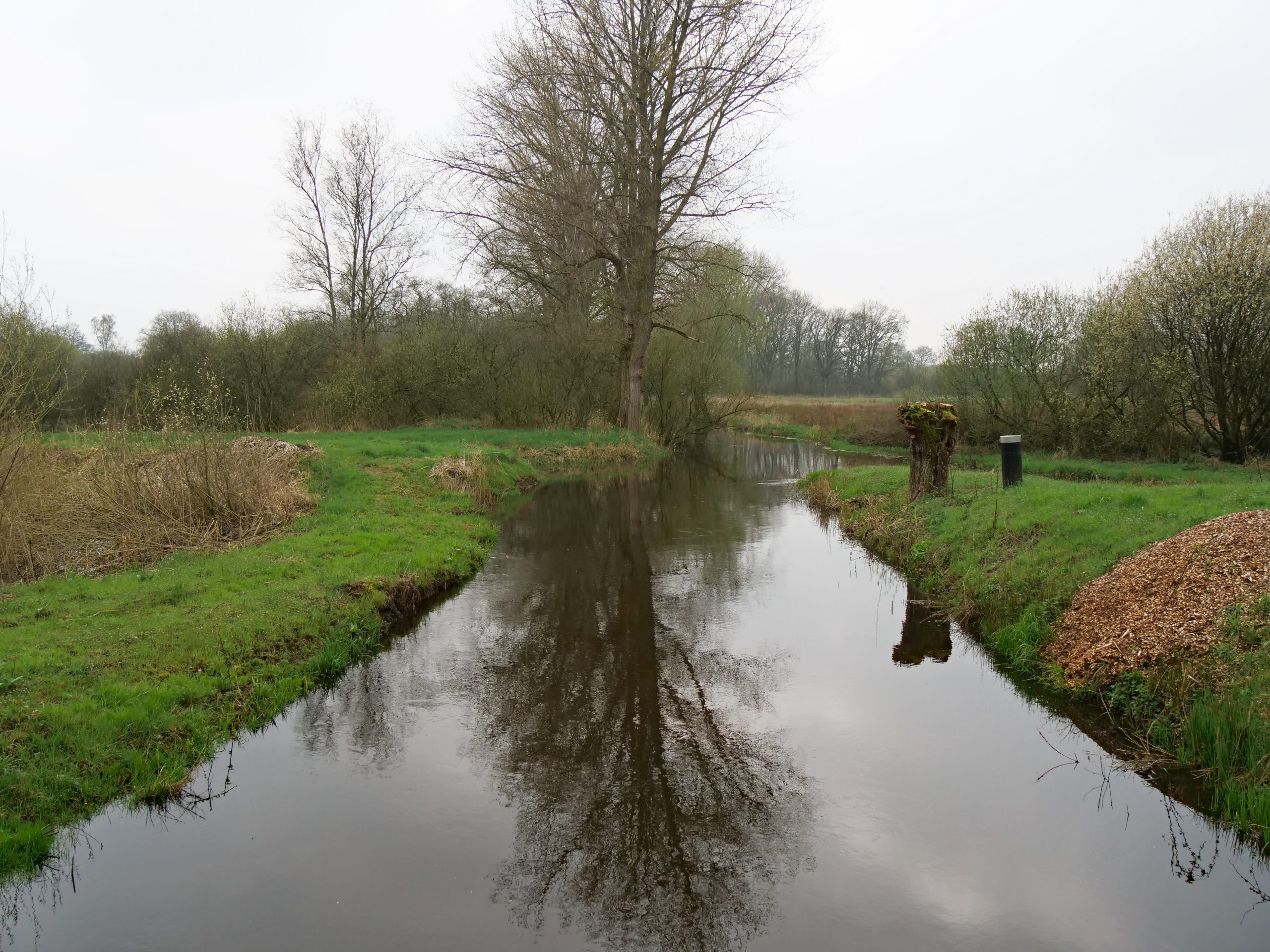 Kleine beek met grasrijke oevers en bomen, weerspiegeling in het water, grijze lucht.