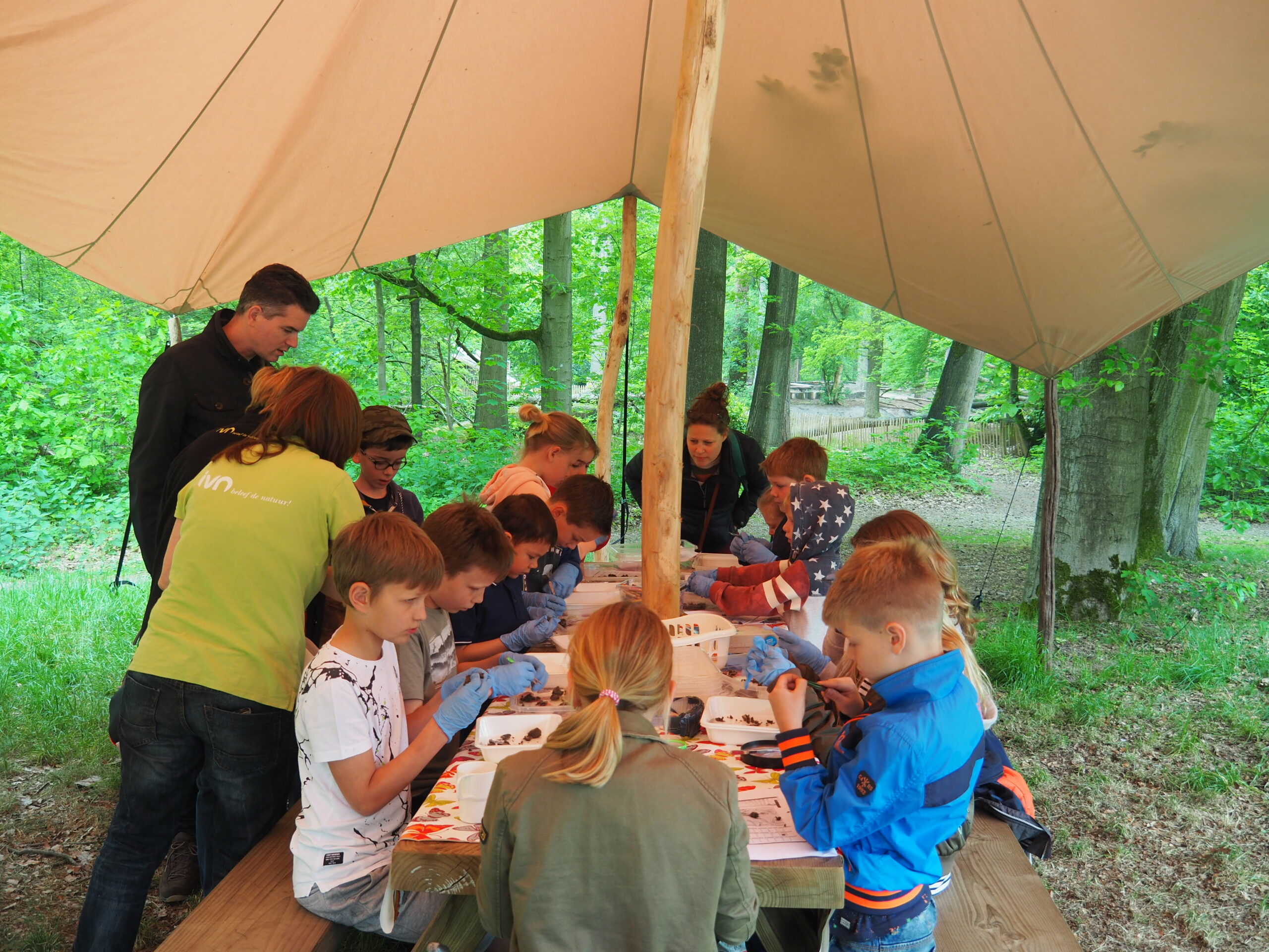 Kinderen onderzoeken natuurmonsters onder een tent in het bos, begeleid door volwassenen.