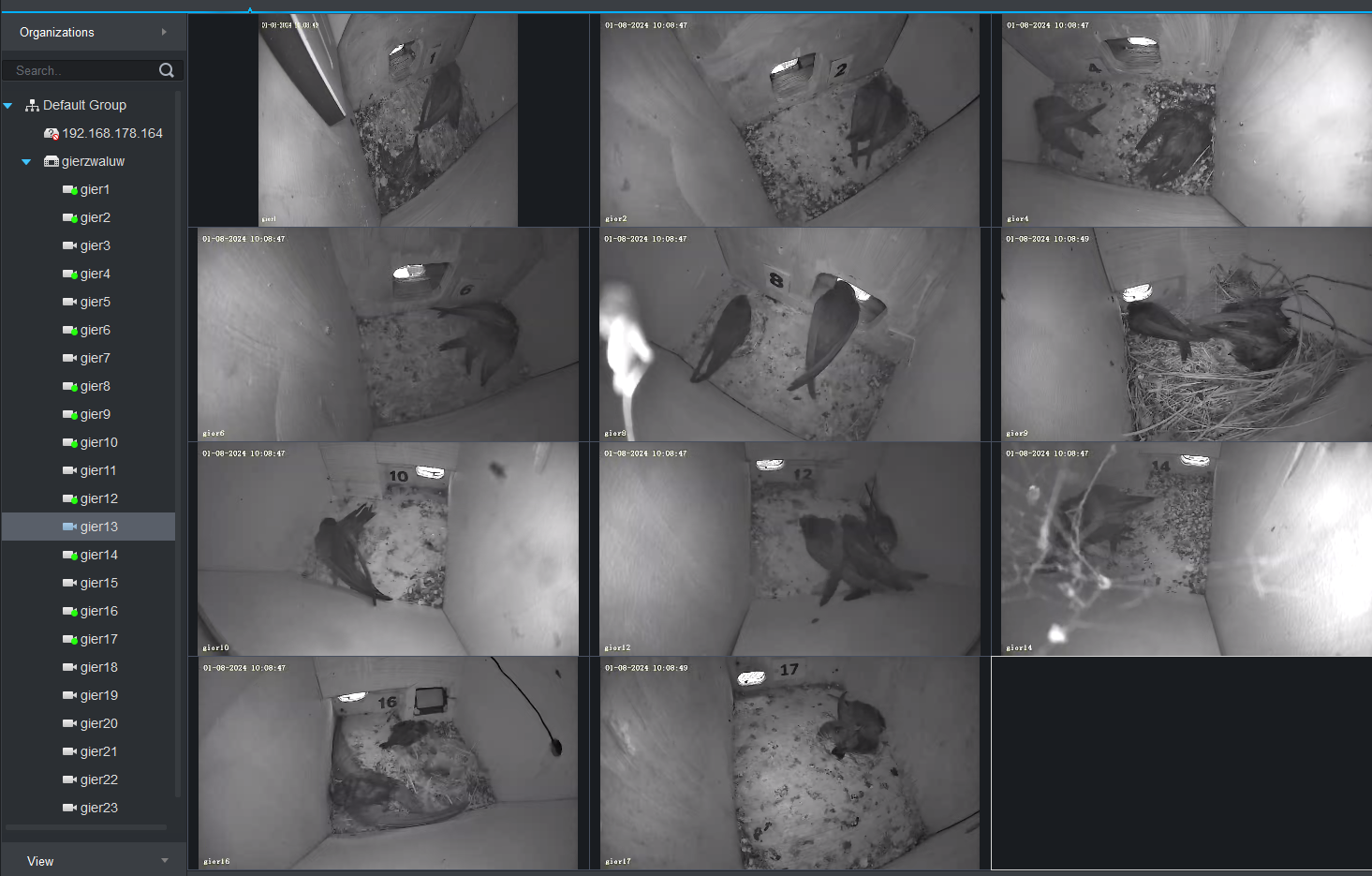 Nestkastcamera's tonen verschillende vogels in hun nestjes.