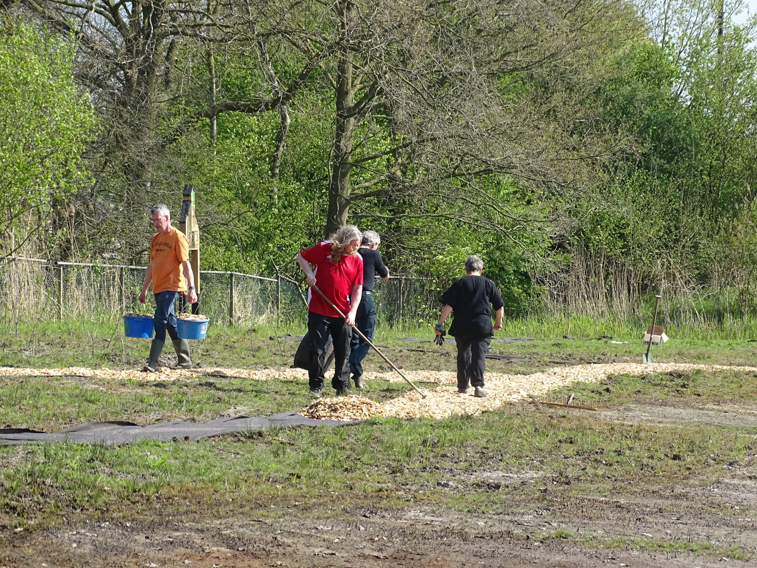 Mensen leggen houtsnippers op een pad in een bosachtig gebied.