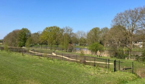 Groene weide met kronkelend pad en omheining, omgeven door bomen onder een heldere blauwe lucht.