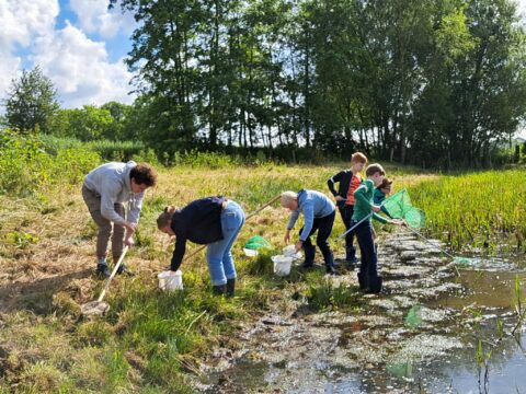 Mensen en kinderen vangen waterdieren met netten bij een vijver, omgeven door groen.