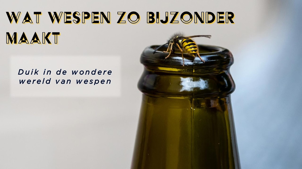 Wesp op een glazen fles met tekst: "Wat wespen zo bijzonder maakt".