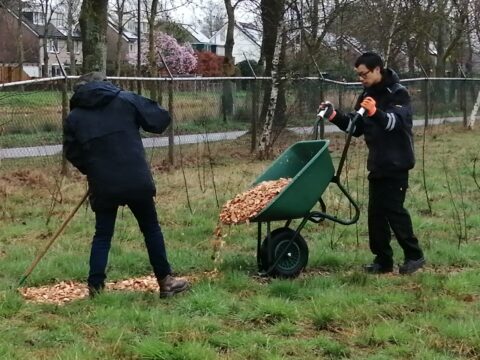 Twee mensen verspreiden houtsnippers in een grasveld met een kruiwagen en hark.