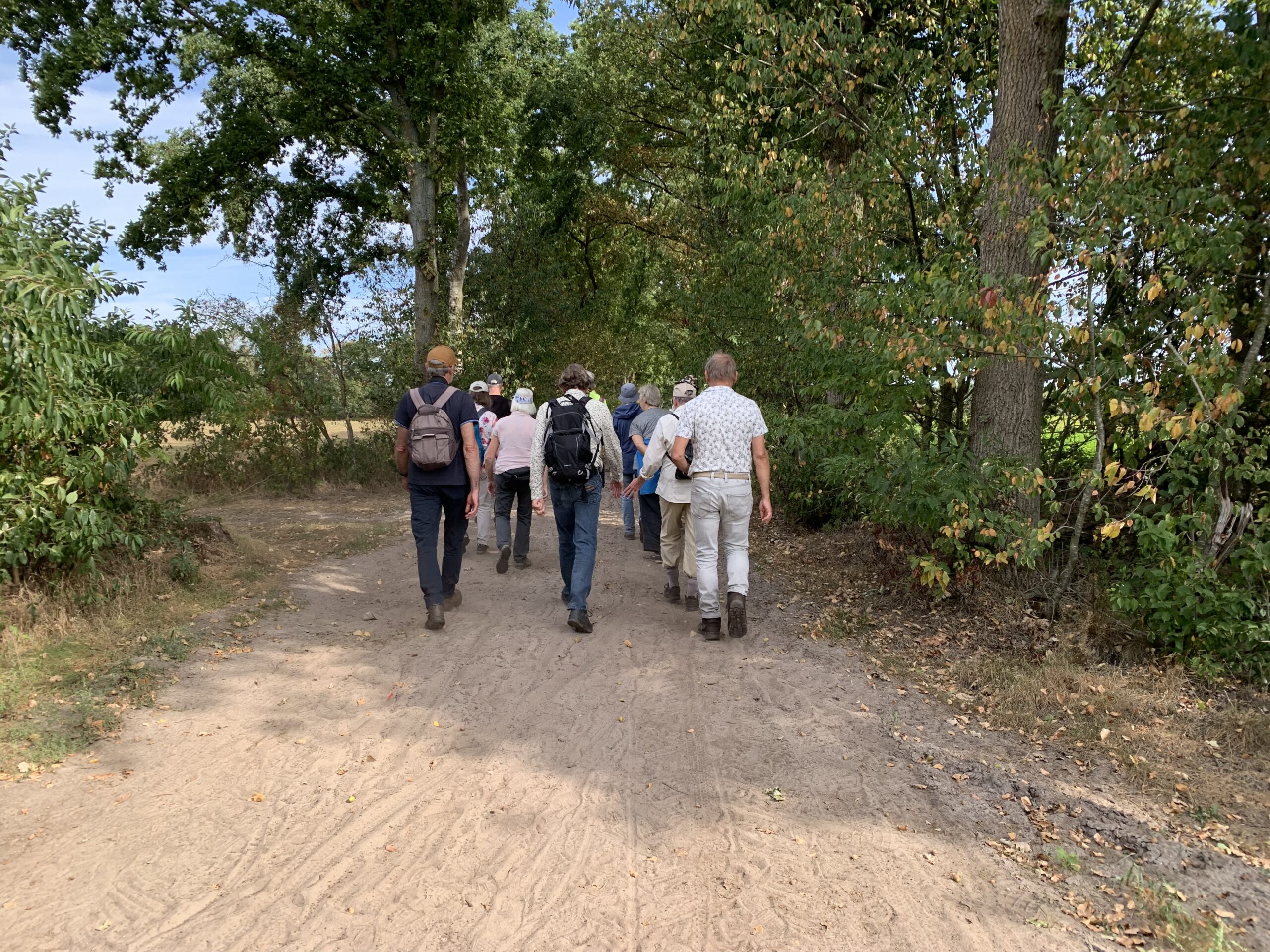 Groep mensen wandelt op een zandpad omgeven door bomen en groen.