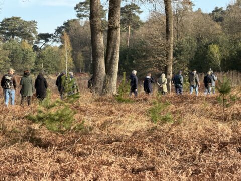 Groep mensen wandelt in een bosrijke omgeving met bomen en bruine varens.