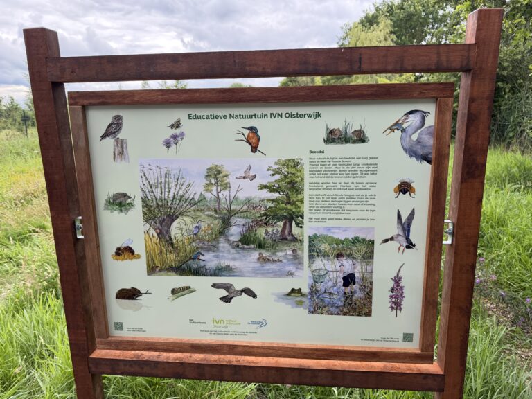 Informatiebord over de natuurtuin in IVN Oisterwijk met illustraties van lokale flora en fauna.