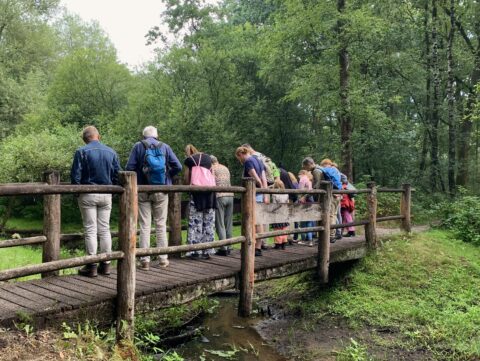 Groep mensen kijkt vanaf een houten brug naar beneden, omgeven door dicht groen bos.