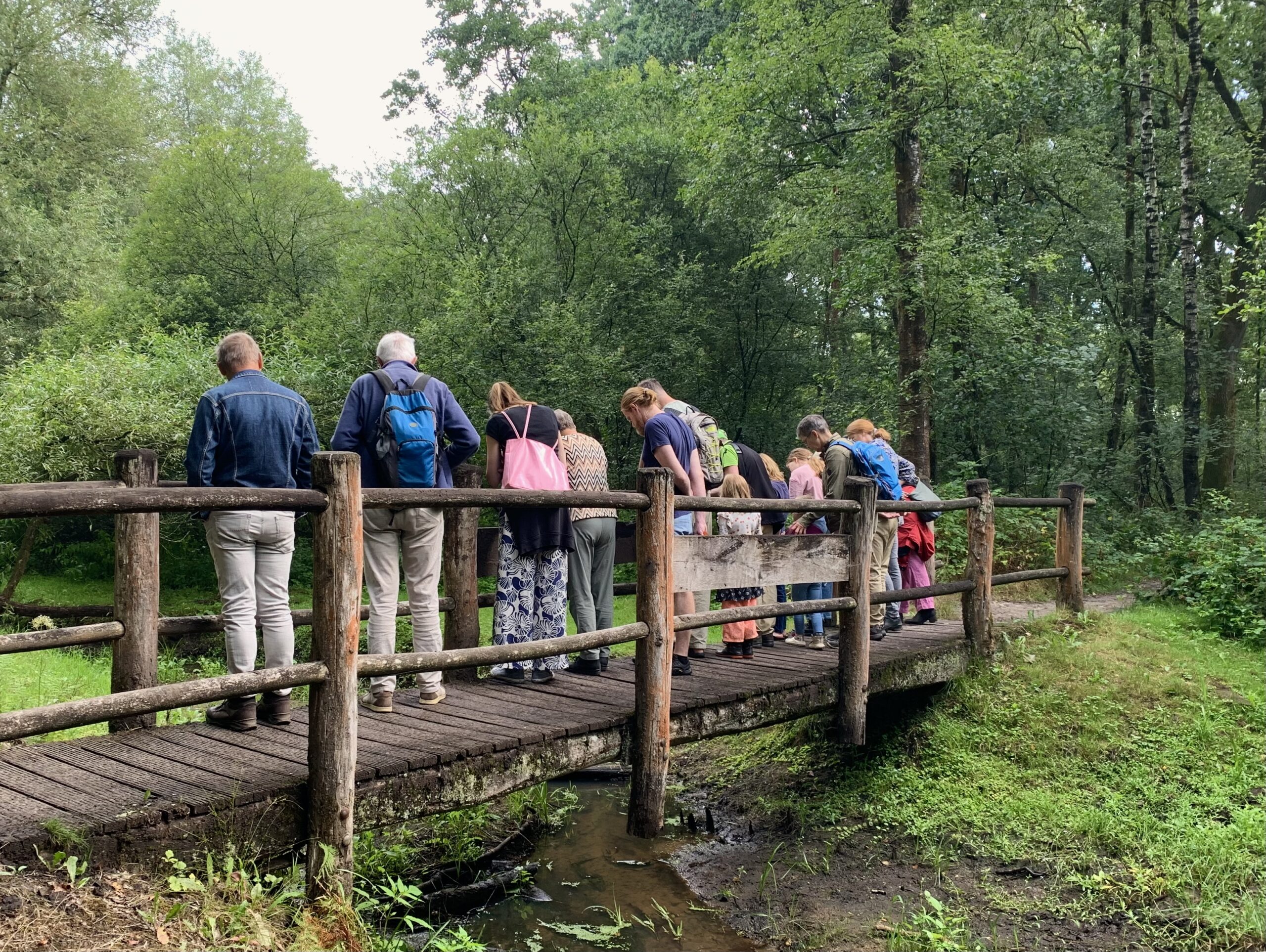Groep mensen kijkt vanaf een houten brug naar beneden, omgeven door dicht groen bos.