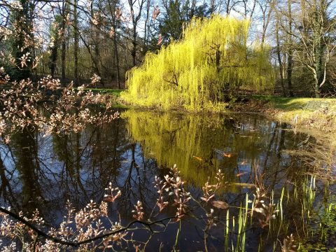 2023-02-11-Hulsbeek01