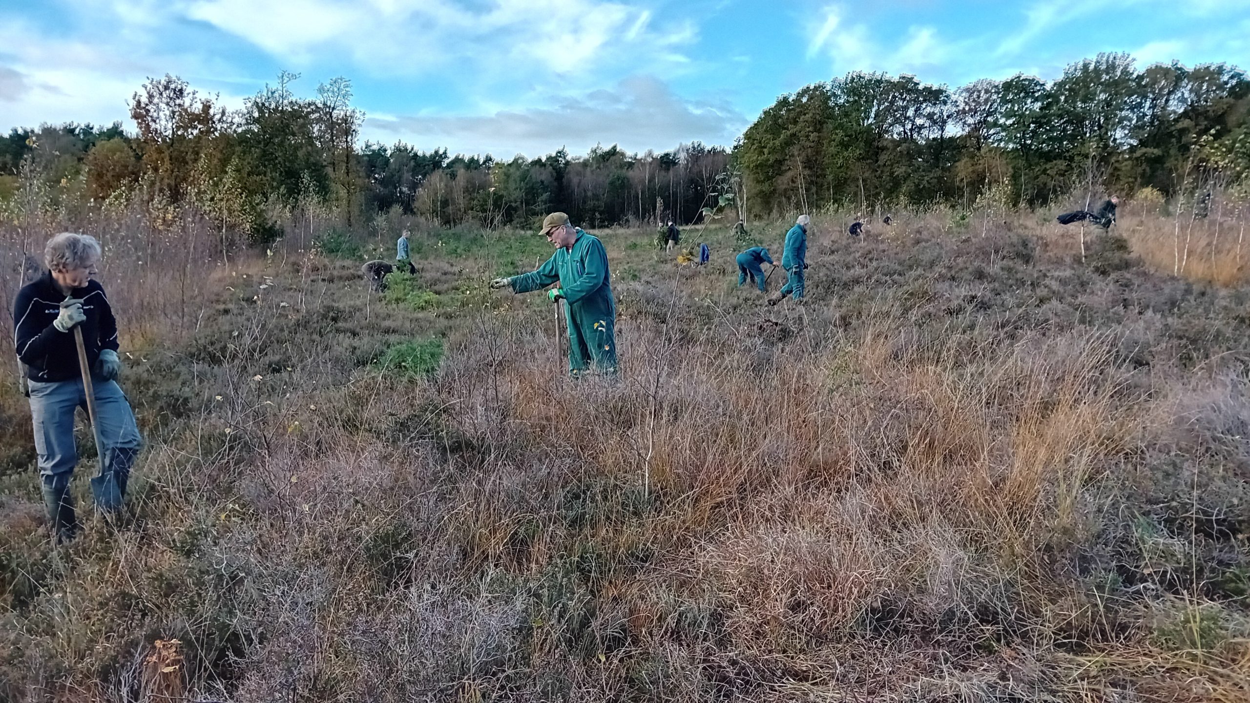 Mensen in werkkleding werken op een grasveld omgeven door bomen, bezig met tuinieren of onderhoud.