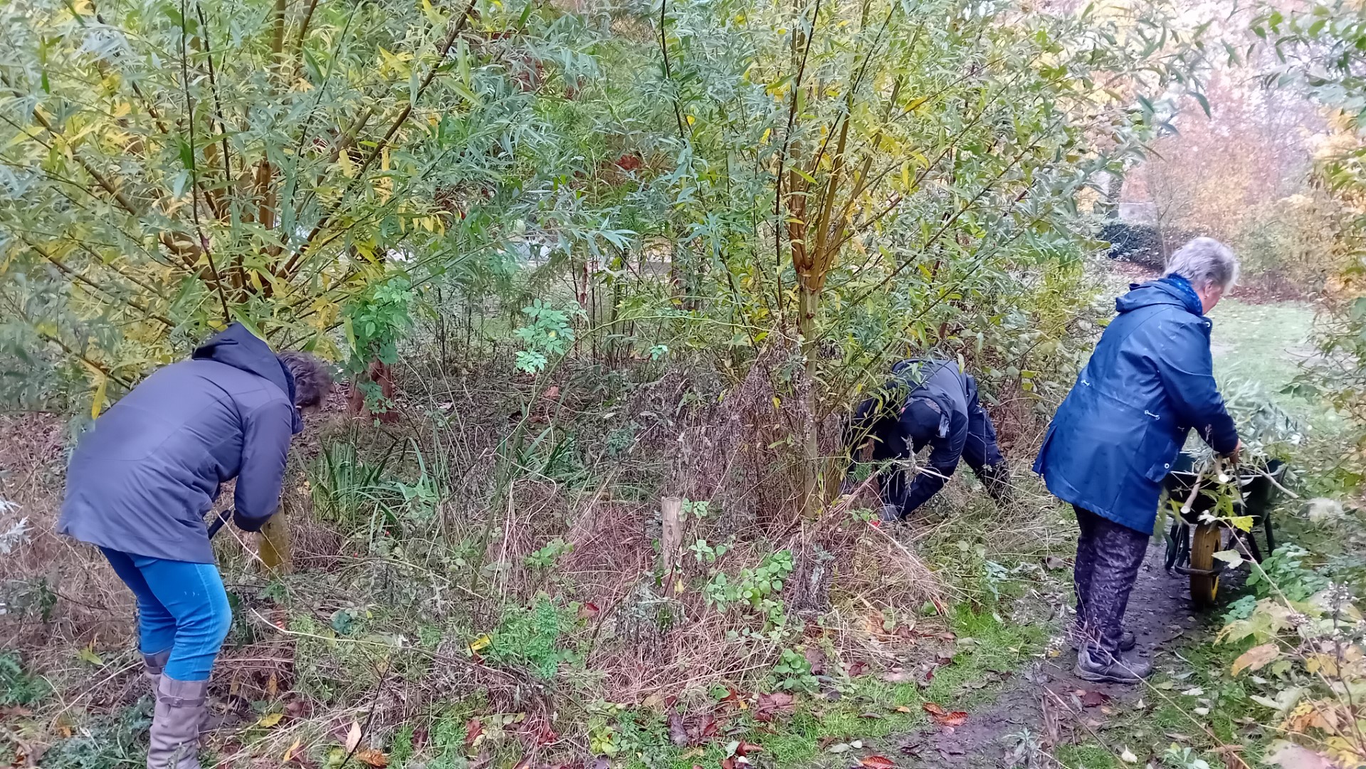 Mensen snoeien struiken en verzamelen takken in een bosrijke omgeving.