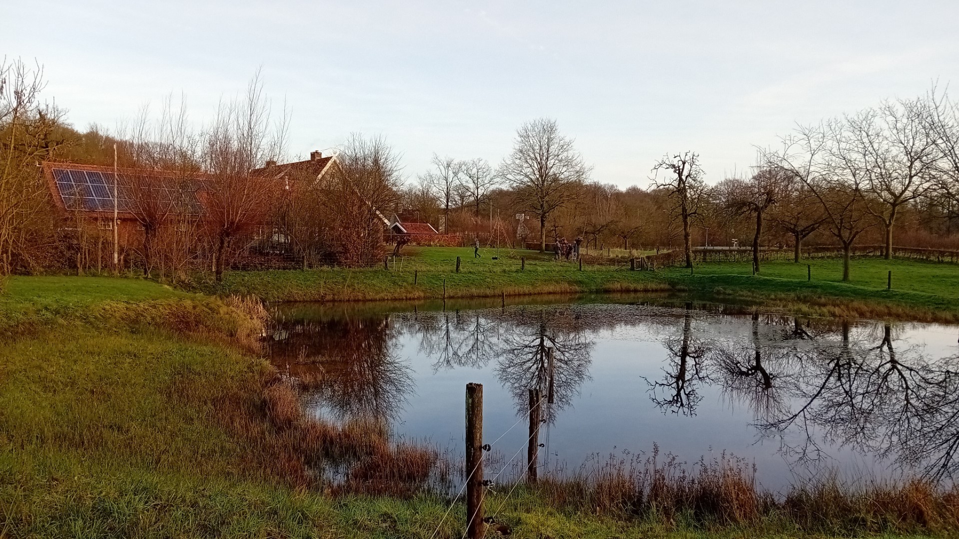 Landelijke boerderij met zonnepanelen, omringd door bomen en een vijver die de lucht weerspiegelt.