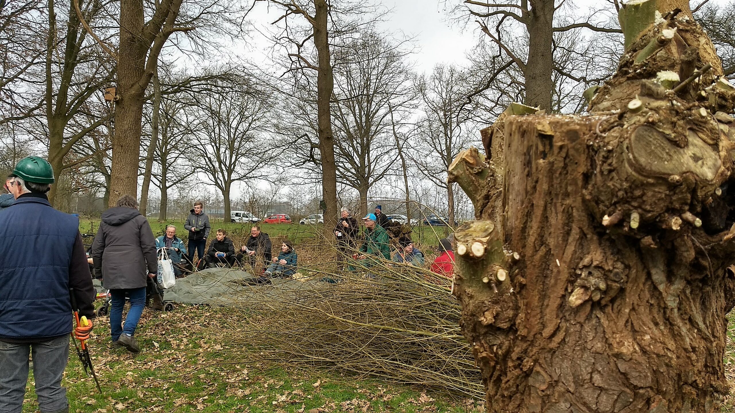 Groep mensen in een bos, zittend rond takken en een geknotte boomstam, met auto's op de achtergrond.