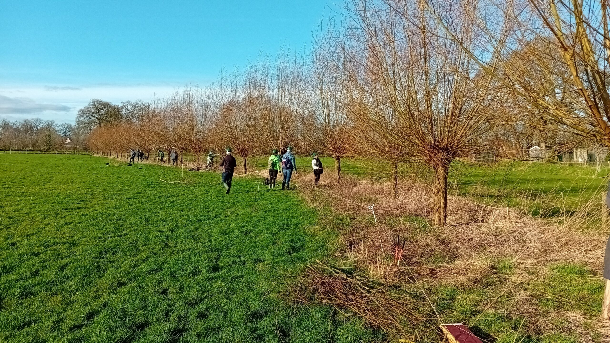 Mensen werken in een natuurgebied langs rijen bomen op een zonnige dag.